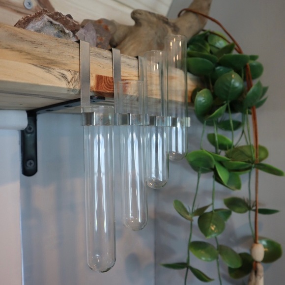 Vintage glass test tube plant propagation with hook (set of 4) - Picture 3 of 3